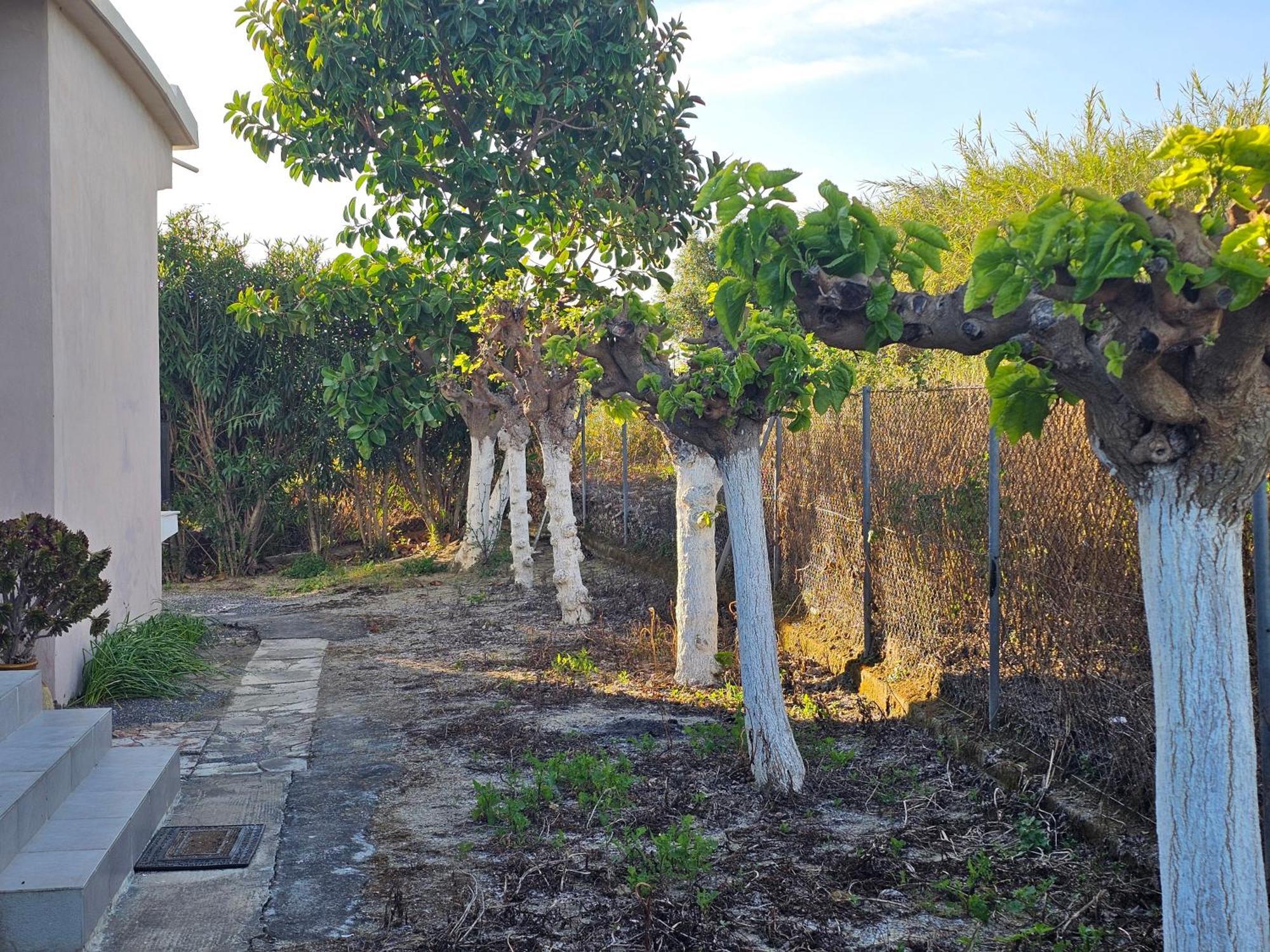 Country Side House Villa Koroni  Exterior photo